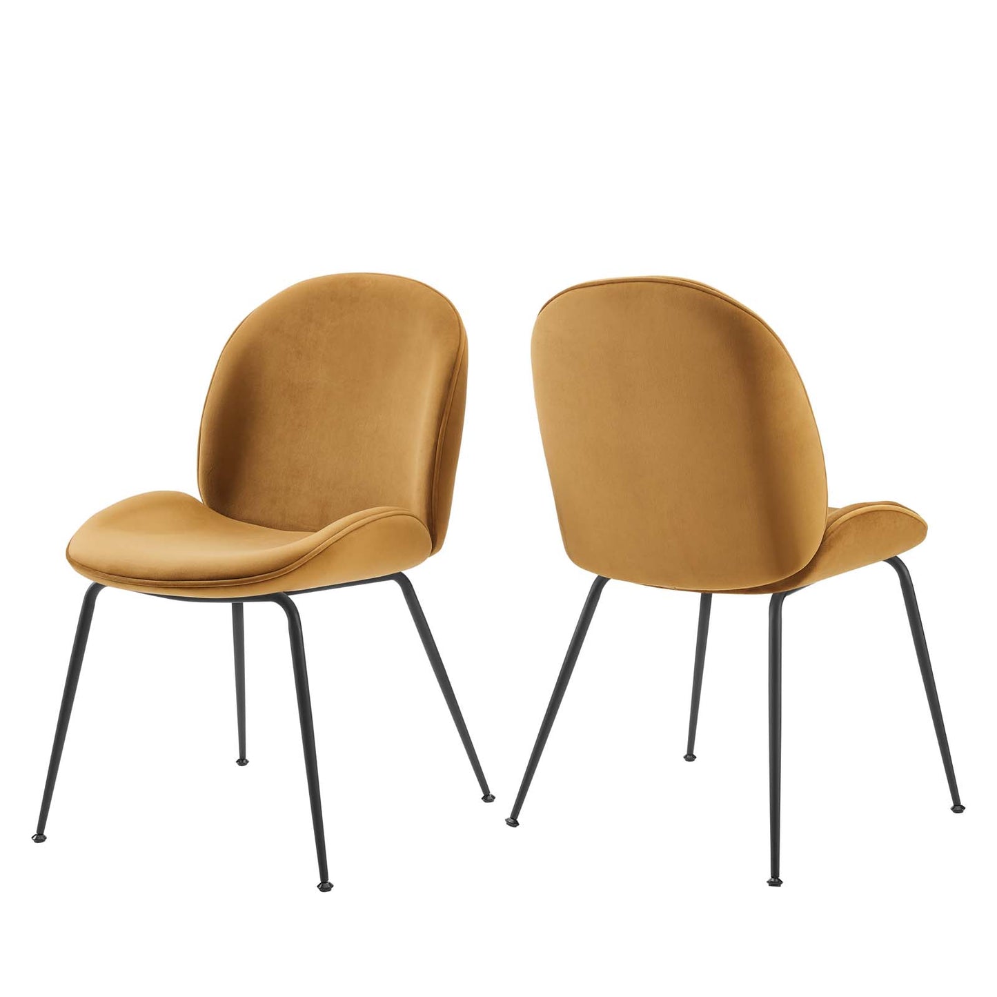 Scoop Black Powder Coated Steel Leg Performance Velvet Dining Chairs - Set of 2 Cognac | Polyester by Modway