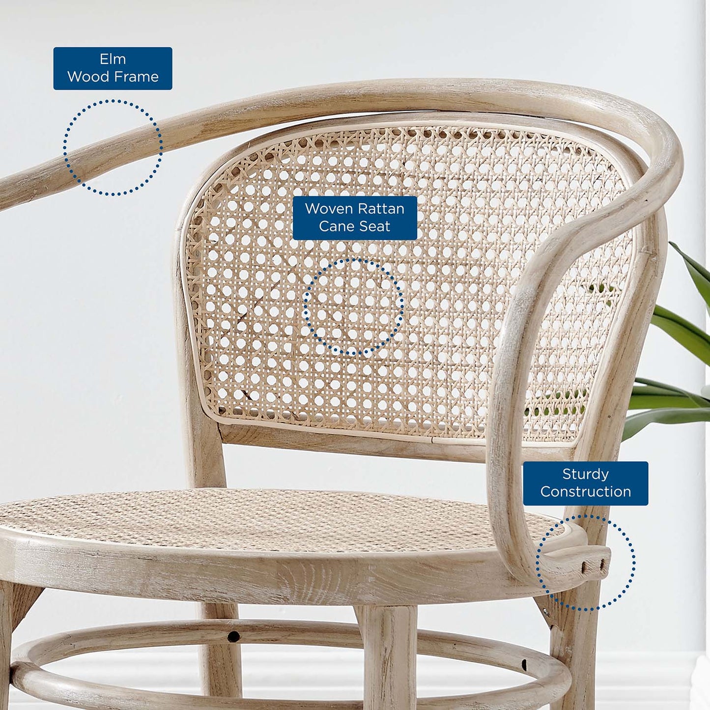 Oliana Wood Dining Armchair by Modway