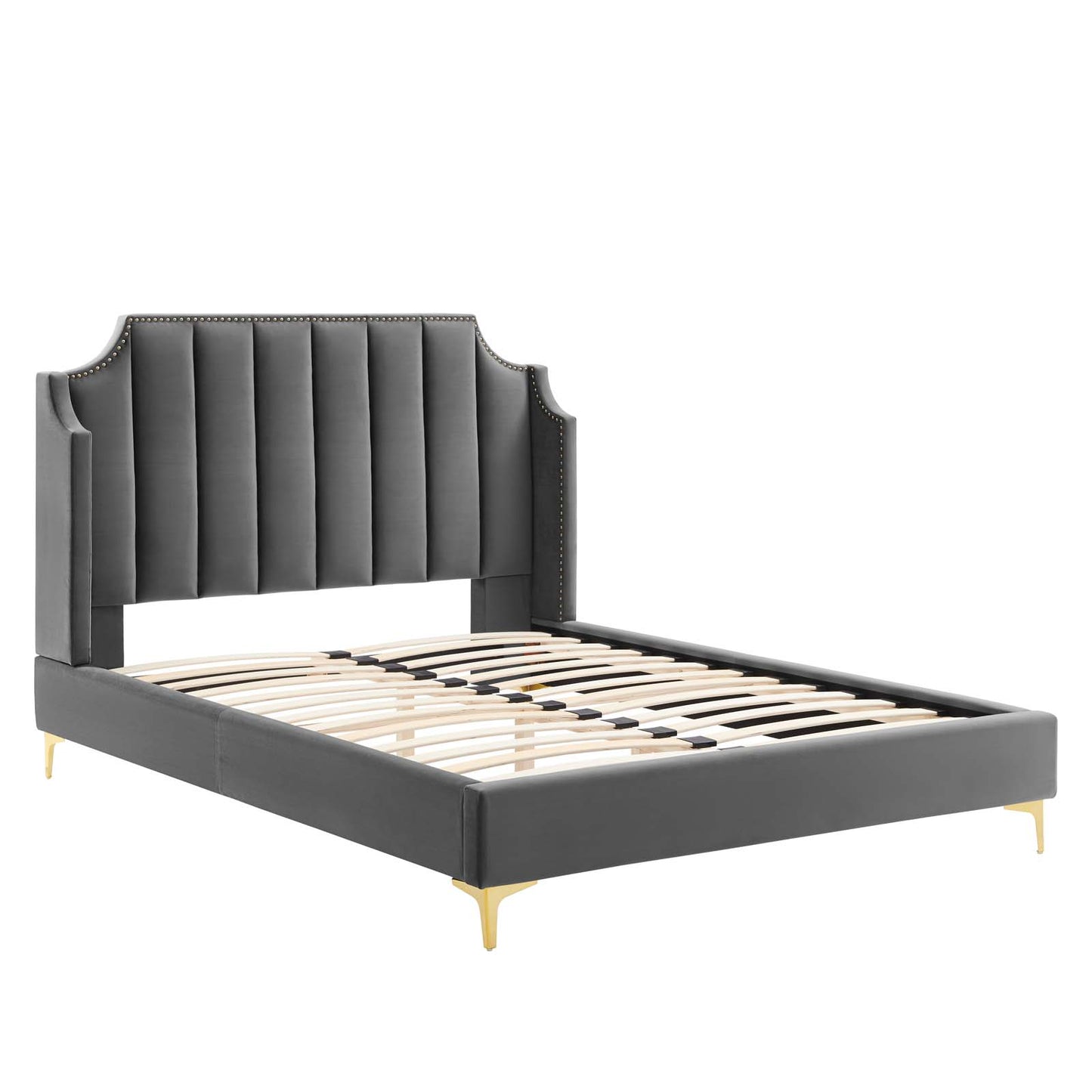 Daniella Performance Velvet Queen Platform Bed by Modway