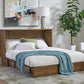 Arason Creden-ZzZ Verona Queen Murphy Cabinet Bed In A Box