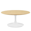 Lippa 36" Coffee Table By Modway