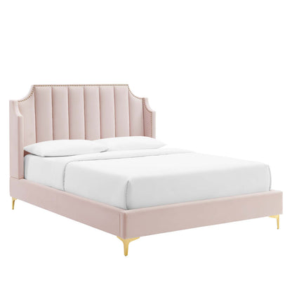 Daniella Performance Velvet Queen Platform Bed by Modway