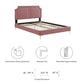 Novi Performance Velvet Queen Bed By Modway