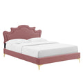 Neena Performance Velvet Queen Bed By Modway