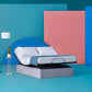 Ergomotion Adjustable Bed Base Quest 2.0 - Queen Size