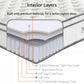 Jenna 8" Full Innerspring Mattress White | Polyester by Modway