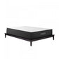 Aveline 12" Memory Foam Twin Mattress White by Modway