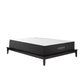 Aveline 12" Memory Foam Full Mattress White by Modway
