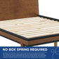 Dylan Queen Platform Bed in Walnut by Modway